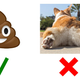 Corgie butt source: trinketbaby